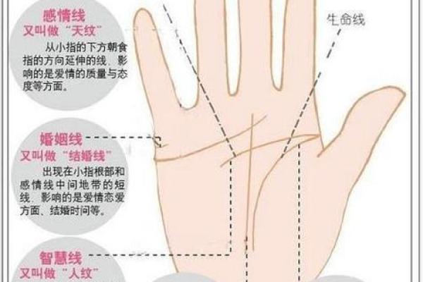 凯帝阿手相算命图解大全01
