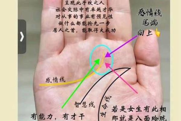 凯帝阿手相算命图解大全01