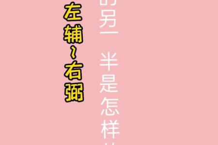 紫薇斗数旬空夫妻宫