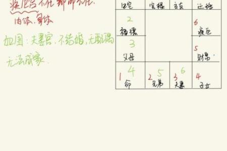 紫薇斗数大运命宫