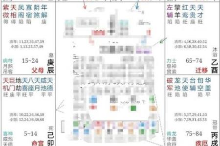 紫薇命盘疾厄宫廉贞天相
