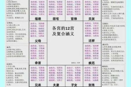 文墨天机紫薇斗数怎么看