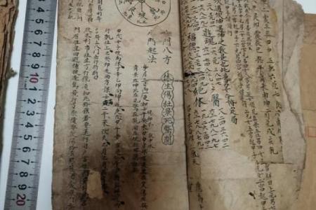 学会了算命