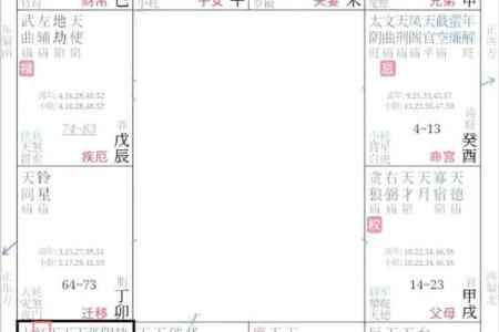 紫微斗数如何看发财命格,分析发财命格的方法
