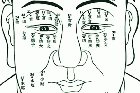 眼皮的面相解析 通过眼皮看面相算命