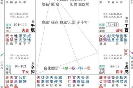 紫薇斗数紫破夹