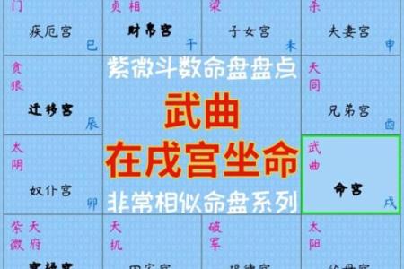 紫微命盘岁驿入命怎么样,紫薇斗数岁驿星在命宫