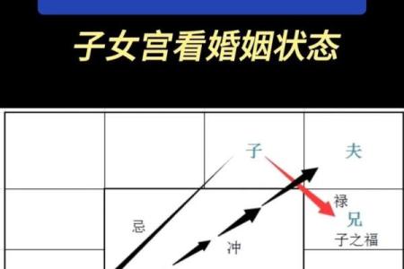 紫薇斗数桃花运