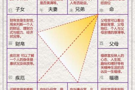 紫薇看配偶属相，紫薇看配偶性格和自己一样嘛？