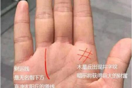 财运线是哪一条？财运线算命图解