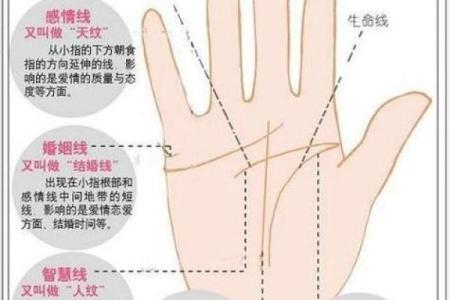 凯帝阿手相算命图解大全01