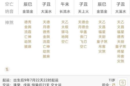 劫食财算命