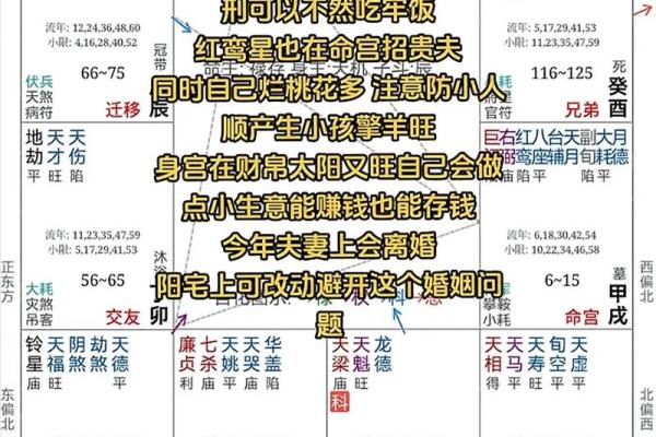 紫薇斗数讨论