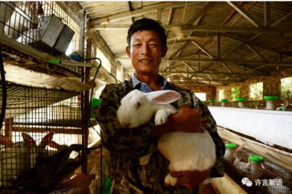家里养兔子风水，家里养兔子风水好吗