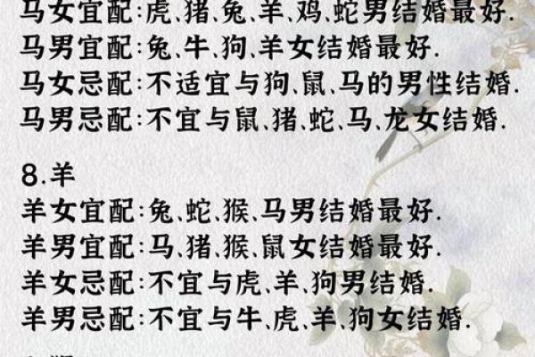 属羊双子座B型血男女性格分析和配对