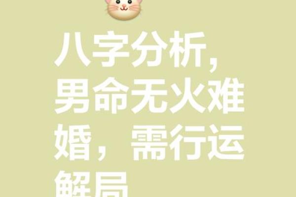 八字喜用神为火的男孩名字
