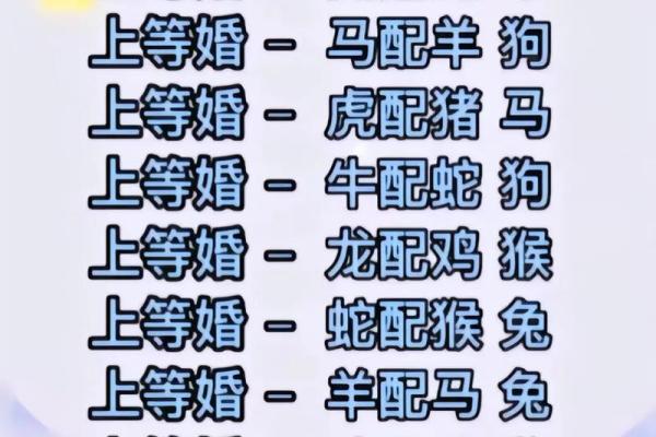 最准的12生肖配对表男龙女兔马 属相婚配男龙女兔