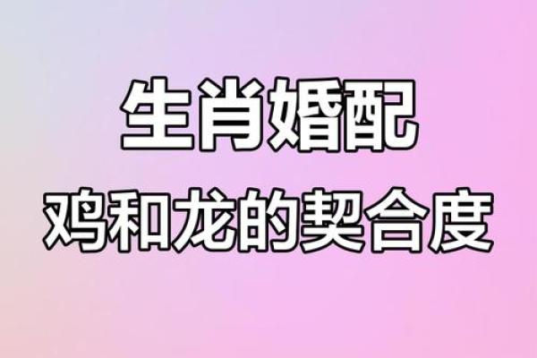 1971年属什么生肖配对 1971年属什么生肖配对最好