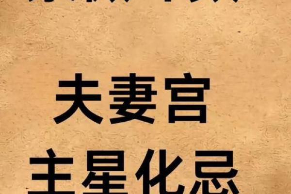 陈彦廷紫薇斗数书