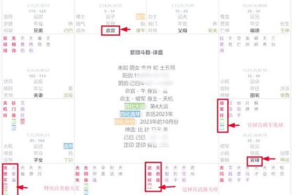 紫薇斗数怎么财运