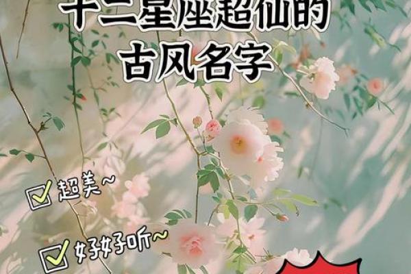 白羊座最适合的qq名字