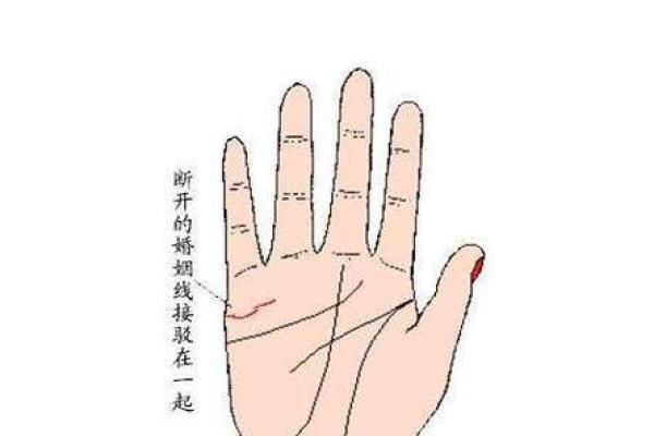 哪些血型男天生富贵命