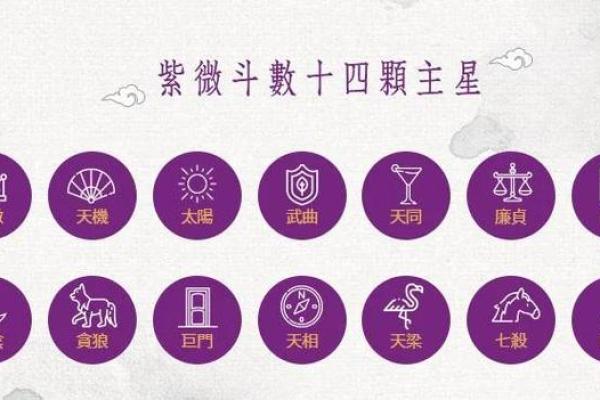紫薇斗数专业名词
