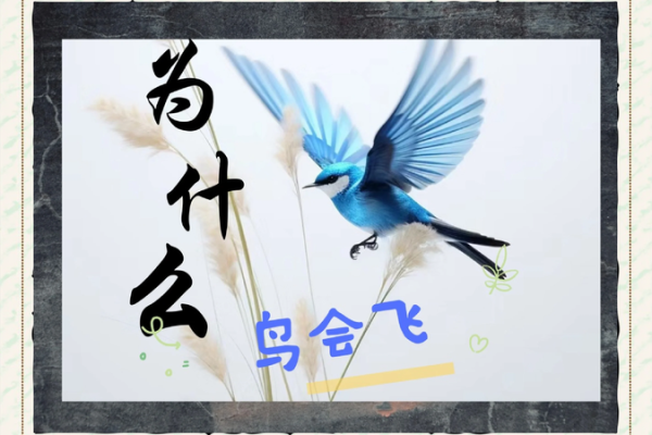 鸟算命揭秘