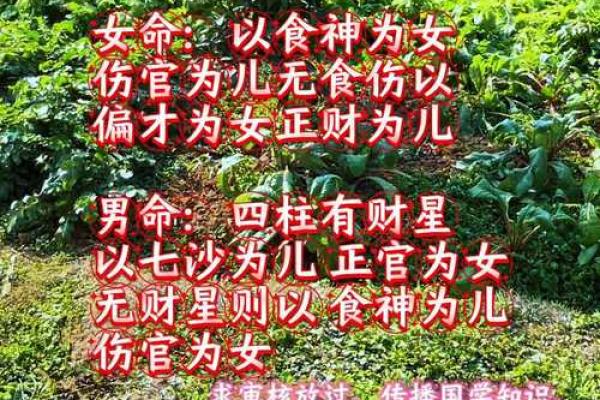 童子命女孩婚姻坎坷的八字分析