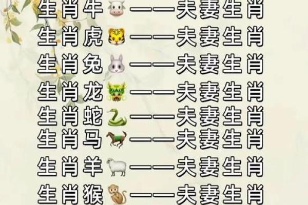 生肖兔与龙配对姻缘 生肖兔与龙相配吗？