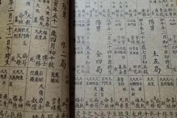 紫微斗数实战 紫微斗数实战案例？