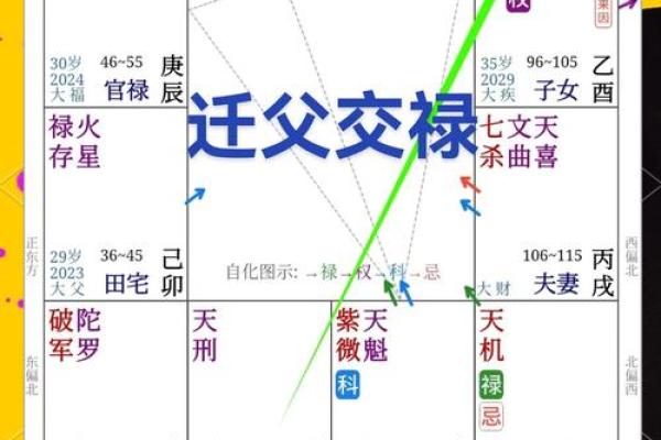 紫薇斗数事业运