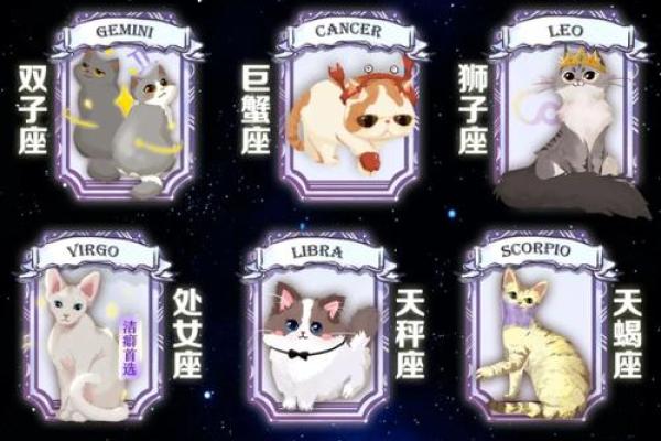 十二星座最适合投资什么数字货币
