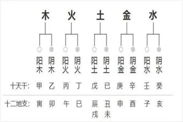 八字偏弱和八字偏强的人在一起会互补吗