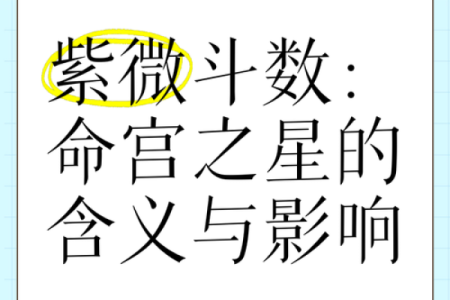 紫薇斗数app帝王