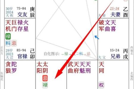 紫薇斗数怎么看夫妻宫