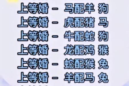最准的12生肖配对表男龙女兔马 属相婚配男龙女兔