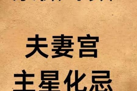 陈彦廷紫薇斗数书