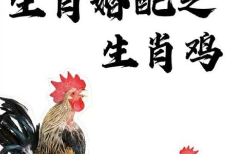 在一起家破人亡的生肖配对