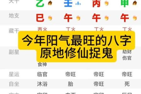 什么叫全阳命,八字全阳的女人命运