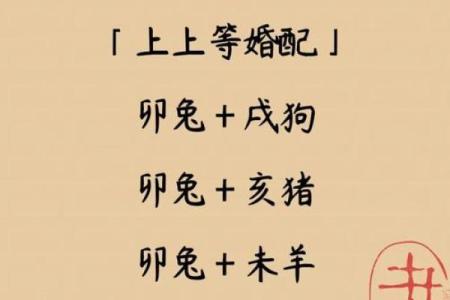 99年属什么今年多大 生肖配对