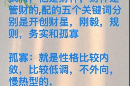 紫薇斗数apk