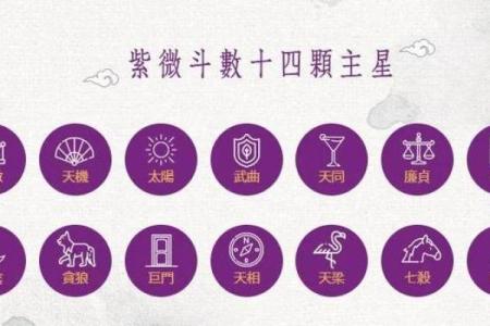 紫薇斗数专业名词