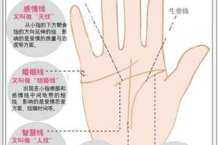 手相算命总论 手相算命大揭秘