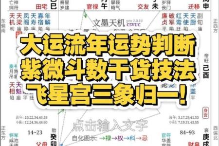 紫微斗数实战 紫微斗数实战案例？