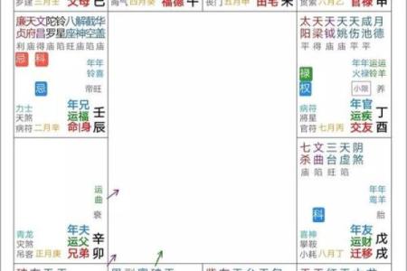 紫薇斗数事业怎么看