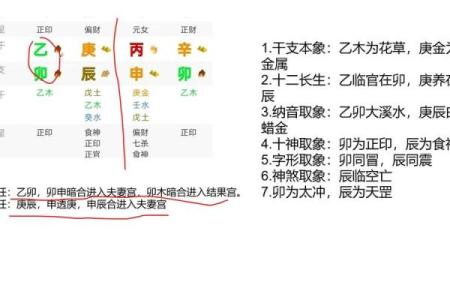 八字基础视频