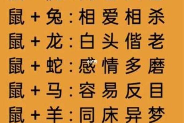 十五生肖：探索属鼠者的个性特征和相性配对