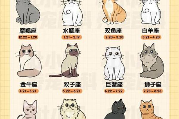 十二星座养什么猫适合