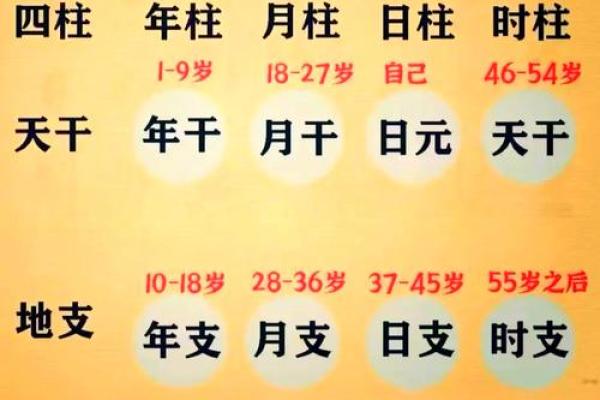 取名字生辰八字